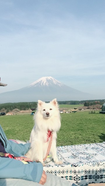 リリちゃんと富士山&#128507;_d0183577_18223479.jpg