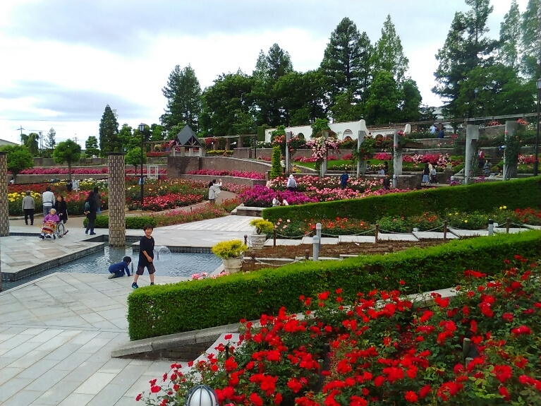 f0200477_22331715.jpg