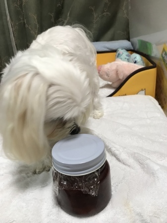 b0193480_15380756.jpeg