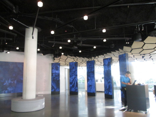 a0172884_05532131.jpg
