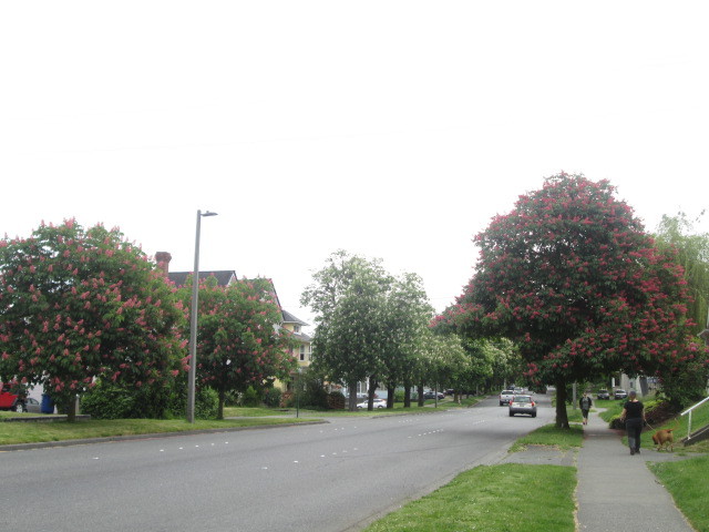 a0172884_14112549.jpg
