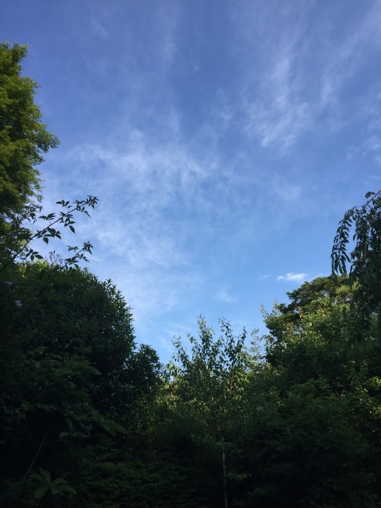 b0098584_16545187.jpeg