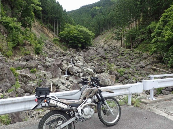 杉赤身 エリート 1x4・1x6・1.25x4・1.25x6・2x4・2x6・2x8