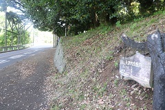 d0183387_16412468.jpg
