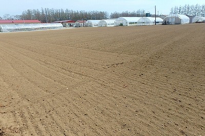 b0191190_05184631.jpg