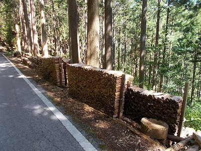 f0308898_09241200.jpg