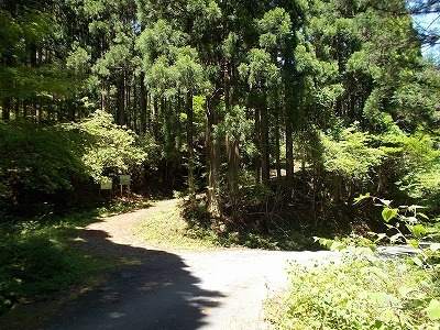 f0308898_09565546.jpg