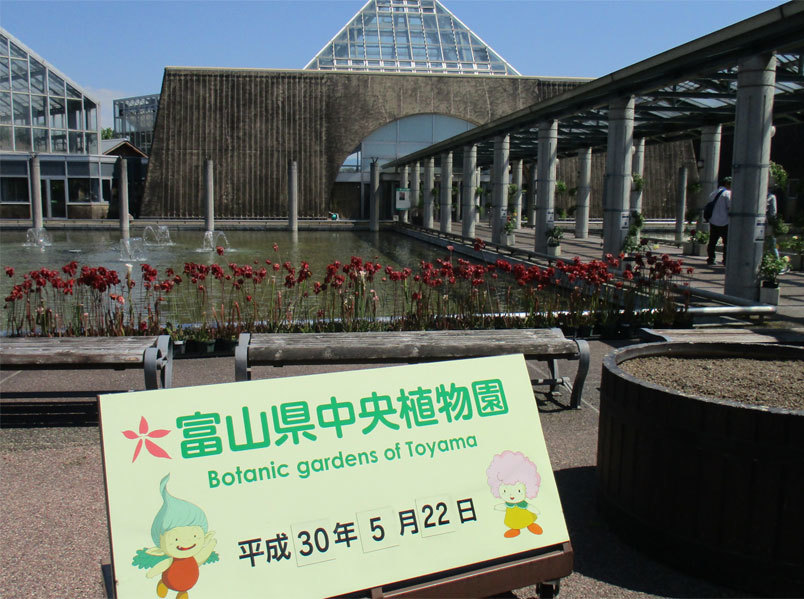 今年も富山県中央植物園に行って来ました ボタニカルアート 四季折々