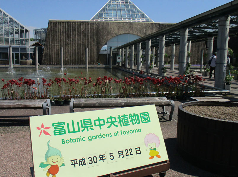 今年も富山県中央植物園に行って来ました～_e0182207_21271443.jpg