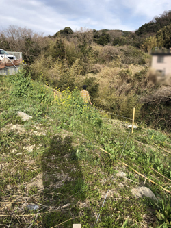 草刈りの始まり_a0148909_16405720.jpg