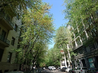 d0091909_17485511.jpg