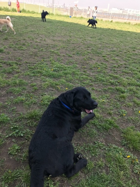 e0132109_23332025.jpeg