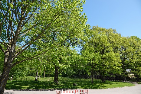 a0151913_733048.jpg