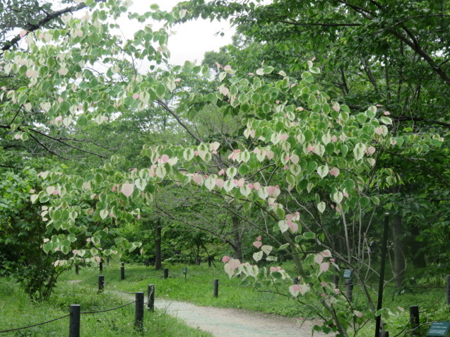 b0344816_23210619.jpeg