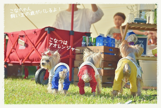 d0179828_09363219.png