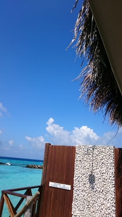 d0344038_20053880.jpg