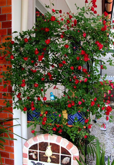 a0056140_15444254.jpg
