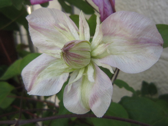 c0025140_00332261.jpg