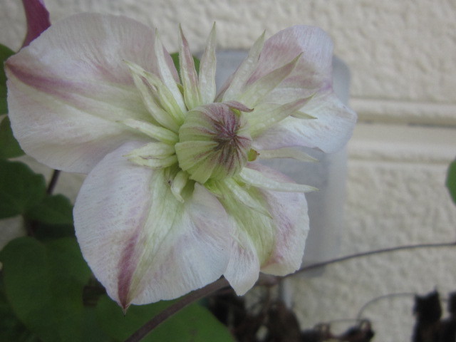 c0025140_00332854.jpg