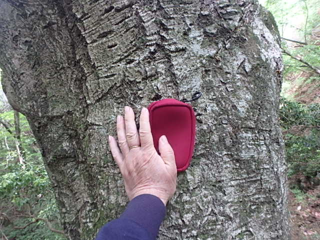 f0334143_8321965.jpg