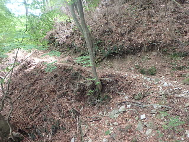 f0334143_8352899.jpg