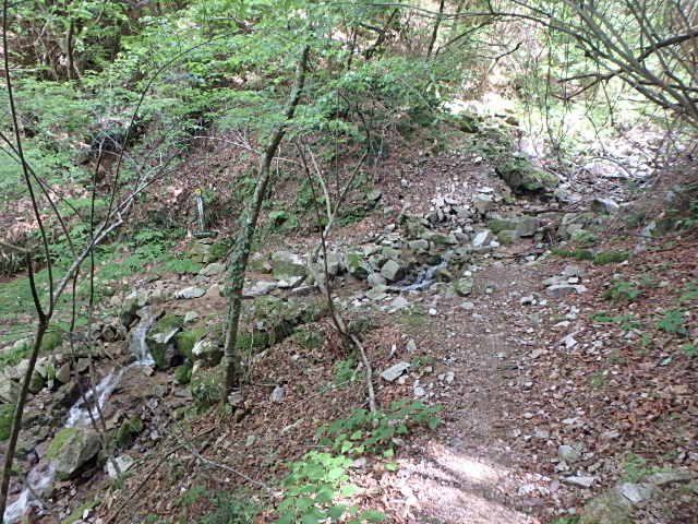 f0334143_8353999.jpg