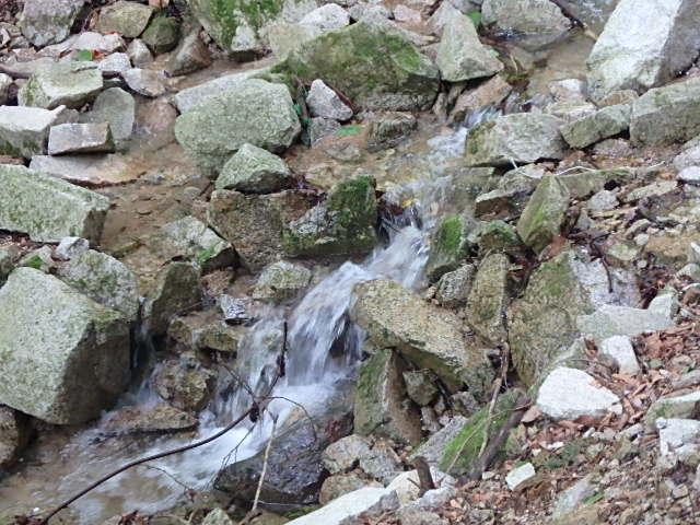 f0334143_8363685.jpg