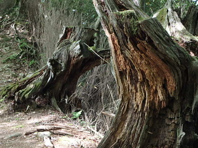 f0334143_838329.jpg