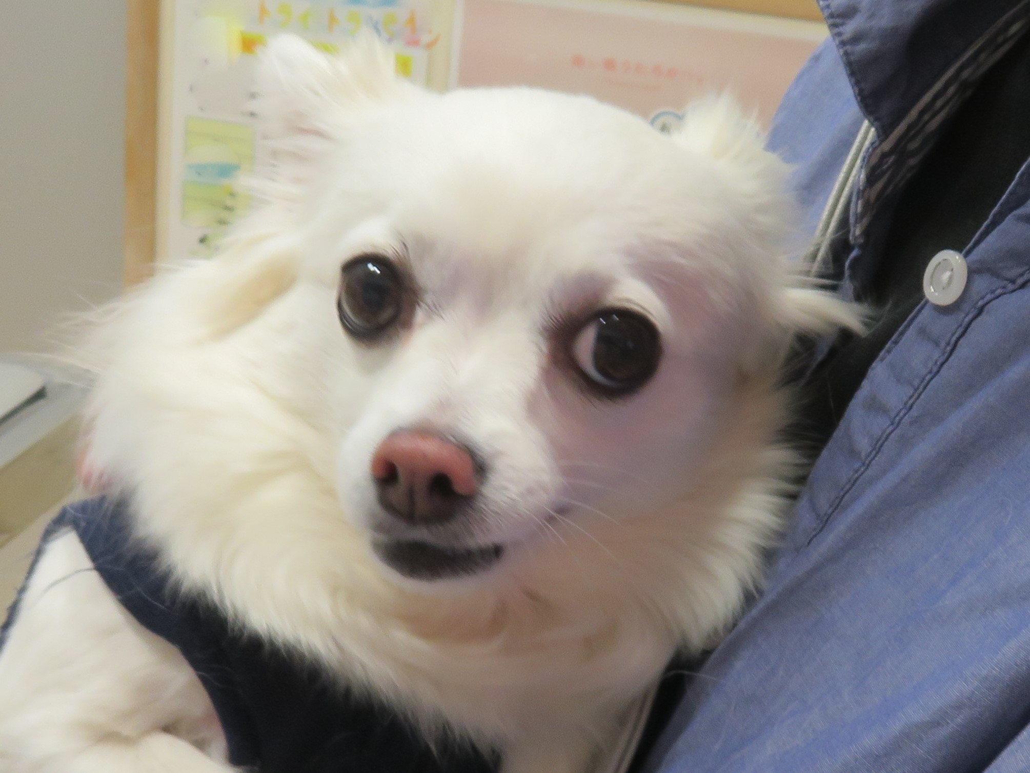 c0174644_13183988.jpg