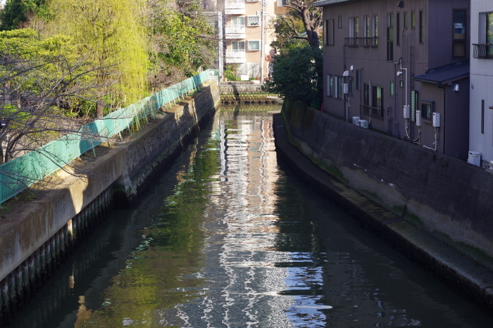 東京の川５_d0185744_17553309.jpg