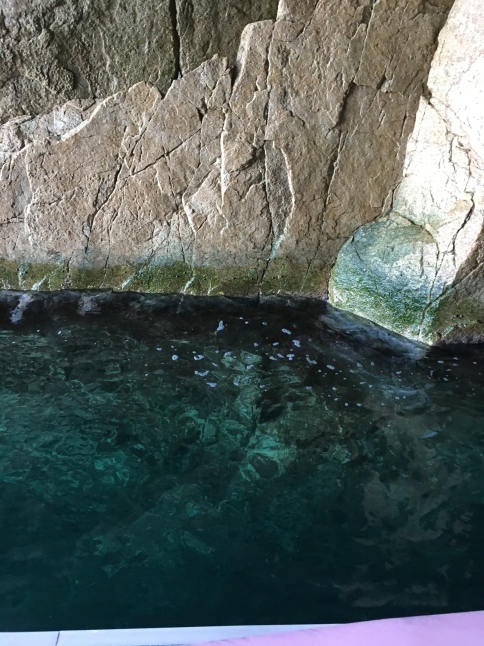 f0191444_13525404.jpg