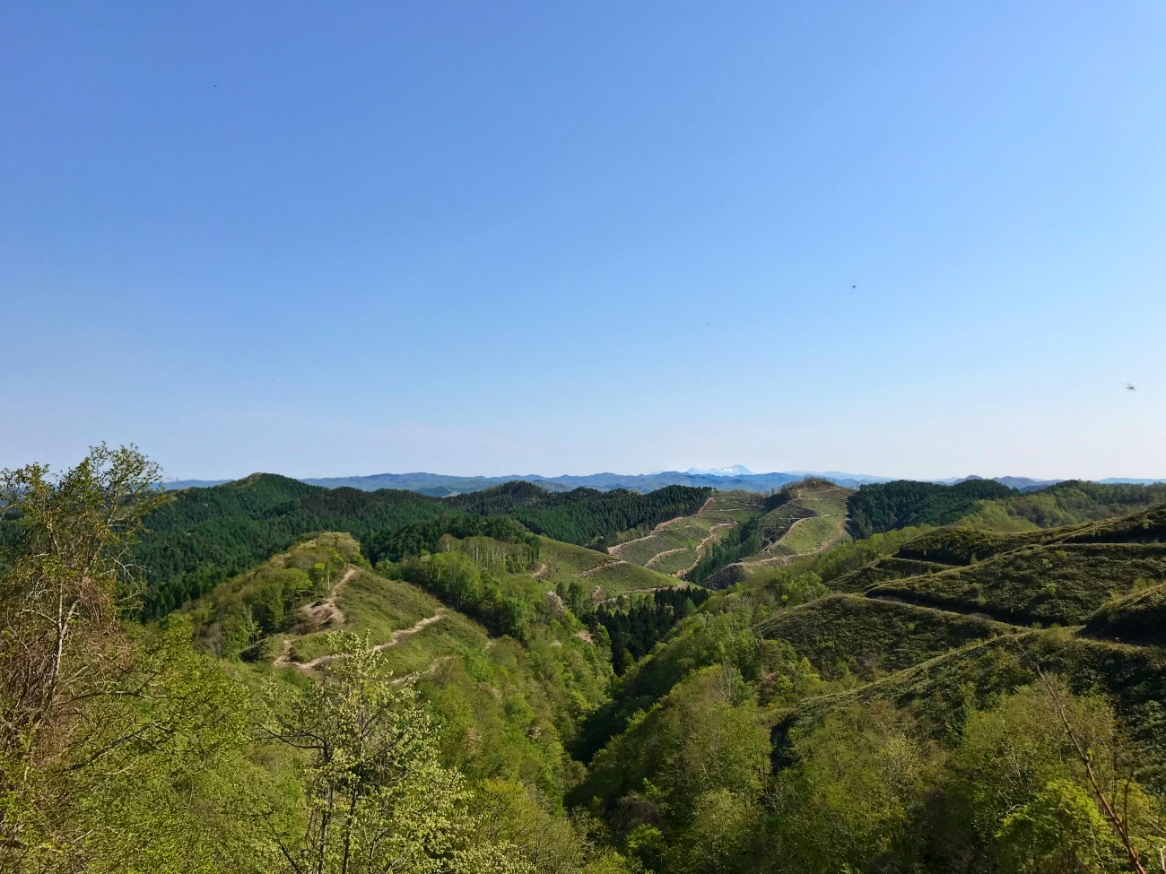 e0105954_17165790.jpg