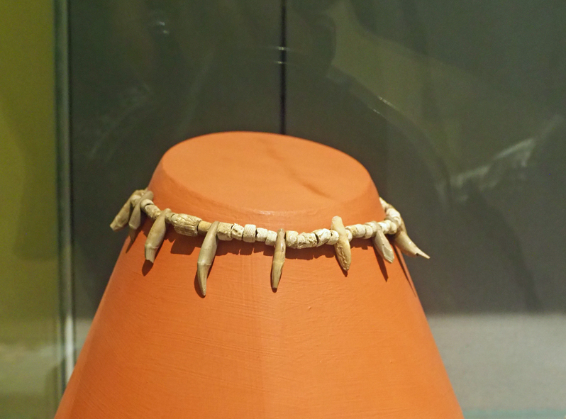 f0140054_08241726.jpg