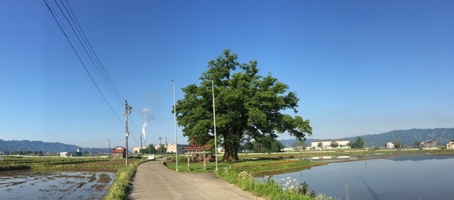 a0346455_08125417.jpeg