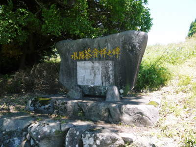 菊池水源茶 熊本県菊池市菊池水源産!令和5年度の茶摘みの様子!まもなく新茶の販売開始です‼_a0254656_16223348.jpg
