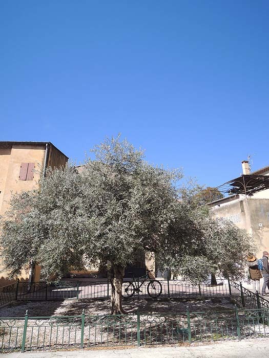 f0360256_13171628.jpg
