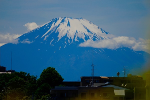 a0248459_15291313.jpg