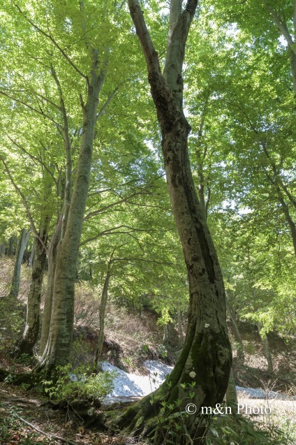 e0321360_00211658.jpg