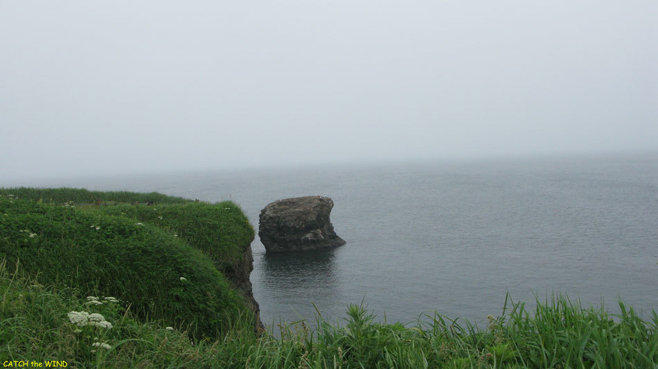 2017北海道の旅　7日目 7/21(金)その4_c0190971_20505938.jpg