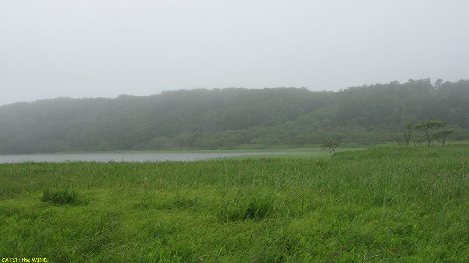 c0190971_20543722.jpg