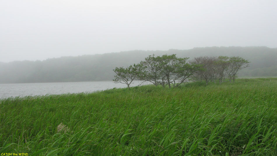 2017北海道の旅　7日目 7/21(金)その4_c0190971_20551205.jpg