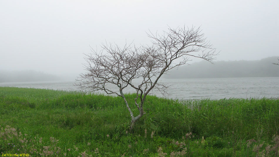 2017北海道の旅　7日目 7/21(金)その4_c0190971_20552545.jpg