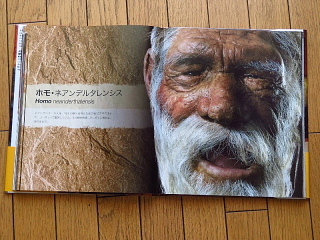 ホモ・サピエンスのモチベーション。_b0141773_23184859.jpg