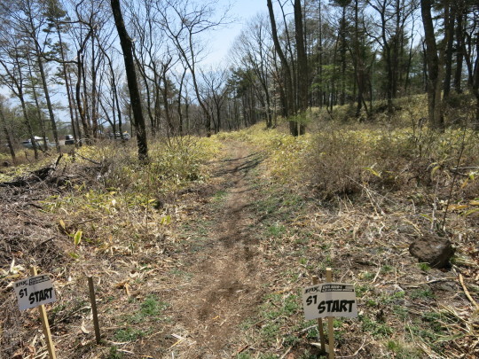b0144174_20565713.jpg
