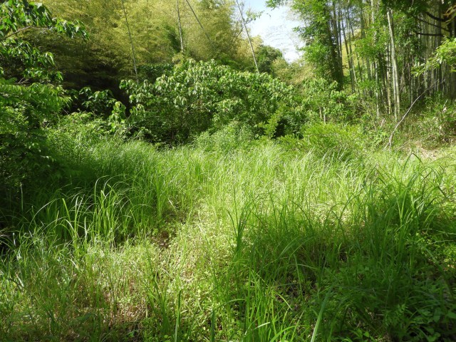 f0378979_20505575.jpg