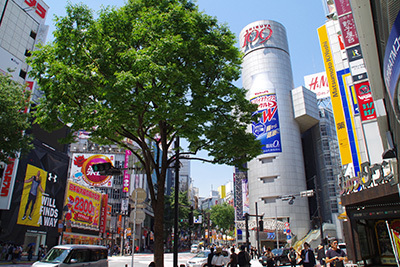 b0056983_16430666.jpg