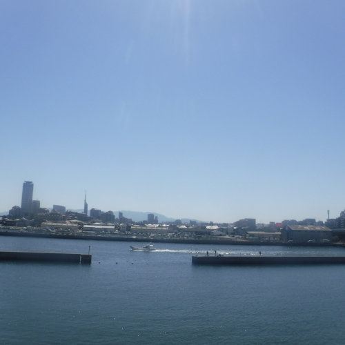 d0174683_01054366.jpeg