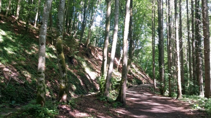 b0169887_04462714.jpg