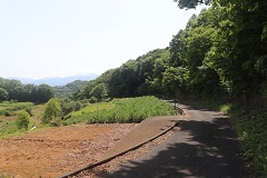 d0183387_19525300.jpg