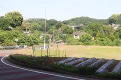 d0183387_22014668.jpg